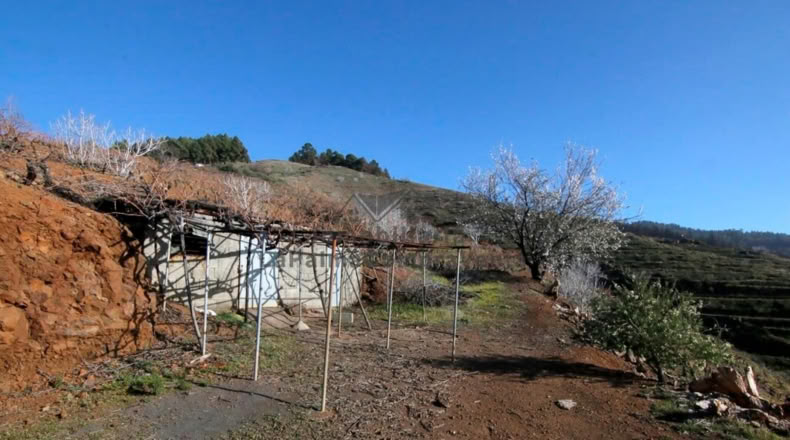 Santa Cruz de Tenerife - La Traviesa - 7506m2