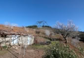 Terreny no urbanitzable en venda a la Pista Pino el Gamonal el Reventón, Puntagorda, ref.: TR103988 foto