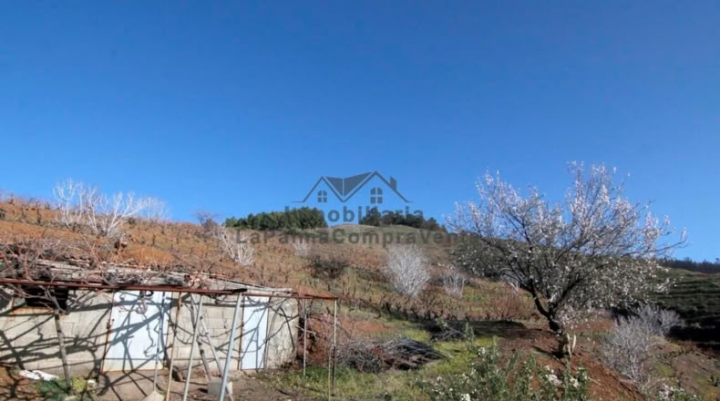 Santa Cruz de Tenerife - La Traviesa - 7506m2