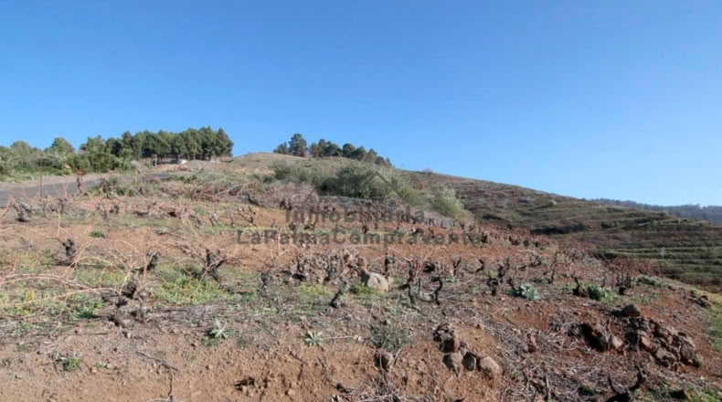 Santa Cruz de Tenerife - La Traviesa - 7506m2