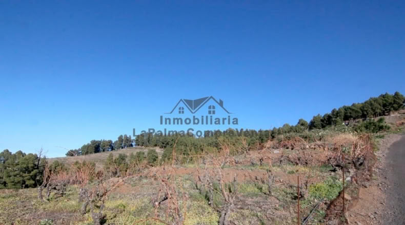 Santa Cruz de Tenerife - La Traviesa - 7506m2