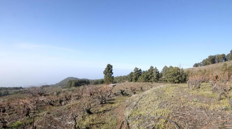Santa Cruz de Tenerife - La Traviesa - 7506m2