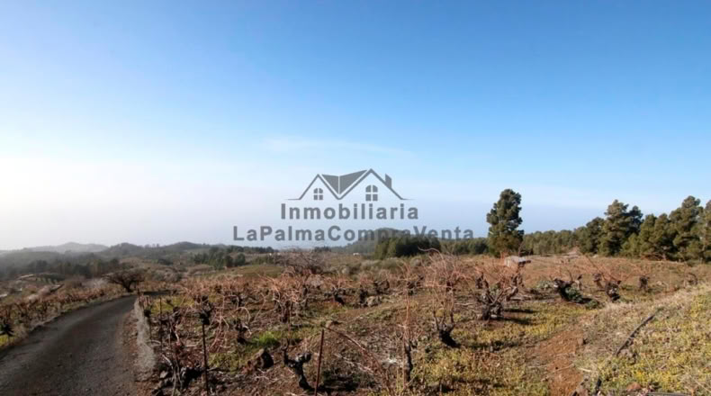 Santa Cruz de Tenerife - La Traviesa - 7506m2