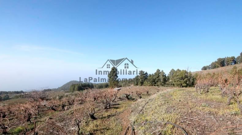 Santa Cruz de Tenerife - La Traviesa - 7506m2