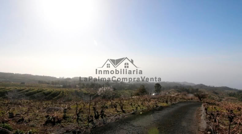 Santa Cruz de Tenerife - La Traviesa - 7506m2