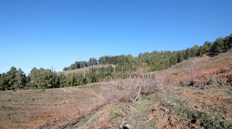 Santa Cruz de Tenerife - La Traviesa - 7506m2