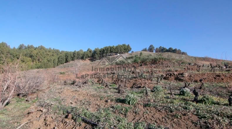 Santa Cruz de Tenerife - La Traviesa - 7506m2
