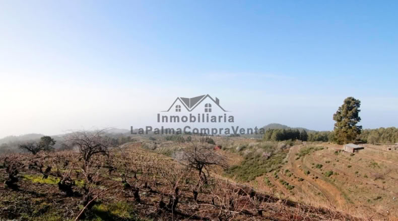 Santa Cruz de Tenerife - La Traviesa - 7506m2