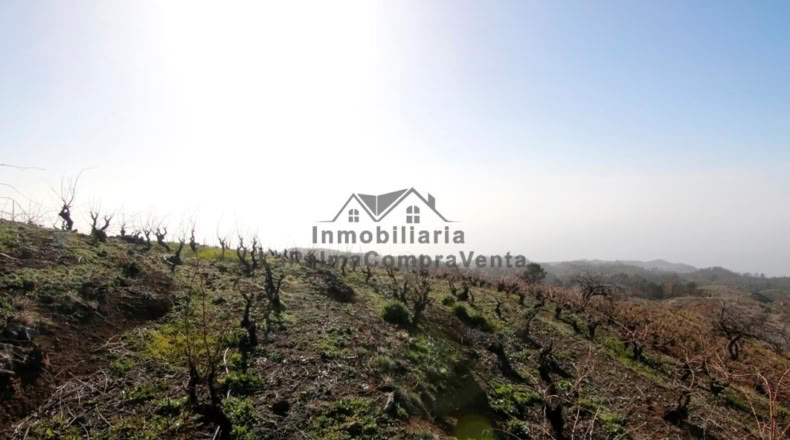 Santa Cruz de Tenerife - La Traviesa - 7506m2