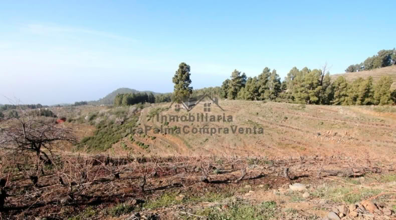 Santa Cruz de Tenerife - La Traviesa - 7506m2