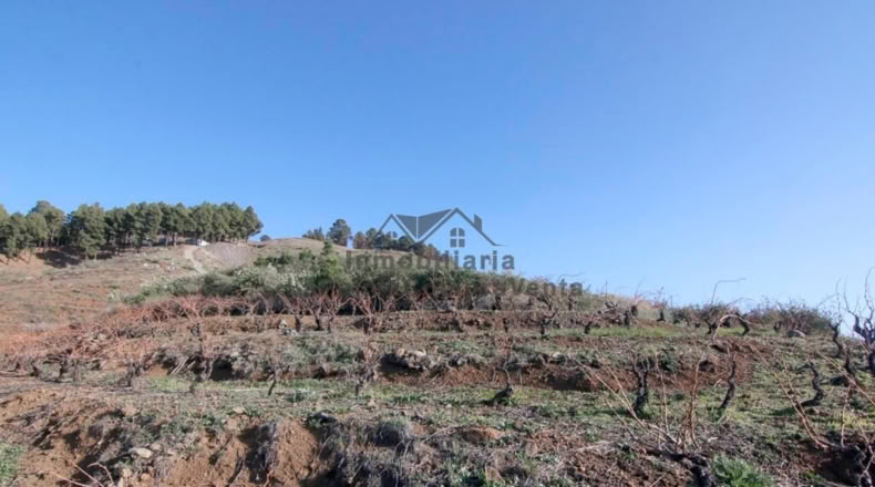 Santa Cruz de Tenerife - La Traviesa - 7506m2