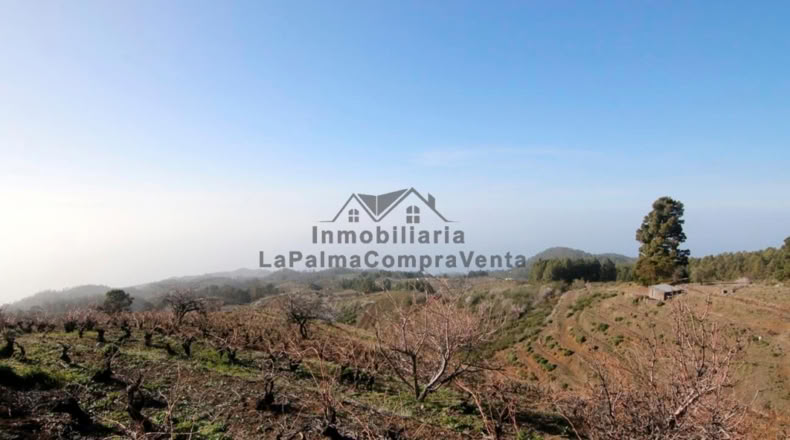 Santa Cruz de Tenerife - La Traviesa - 7506m2
