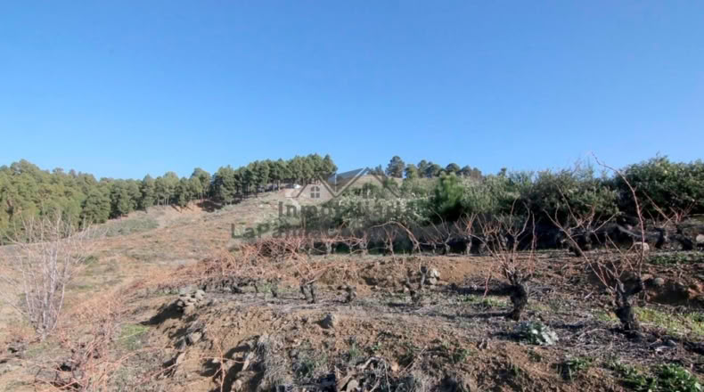 Santa Cruz de Tenerife - La Traviesa - 7506m2