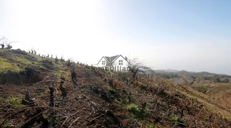 Santa Cruz de Tenerife - La Traviesa - 7506m2