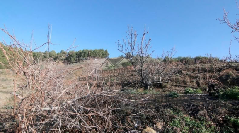 Santa Cruz de Tenerife - La Traviesa - 7506m2