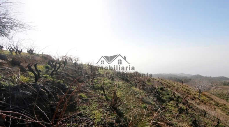 Santa Cruz de Tenerife - La Traviesa - 7506m2