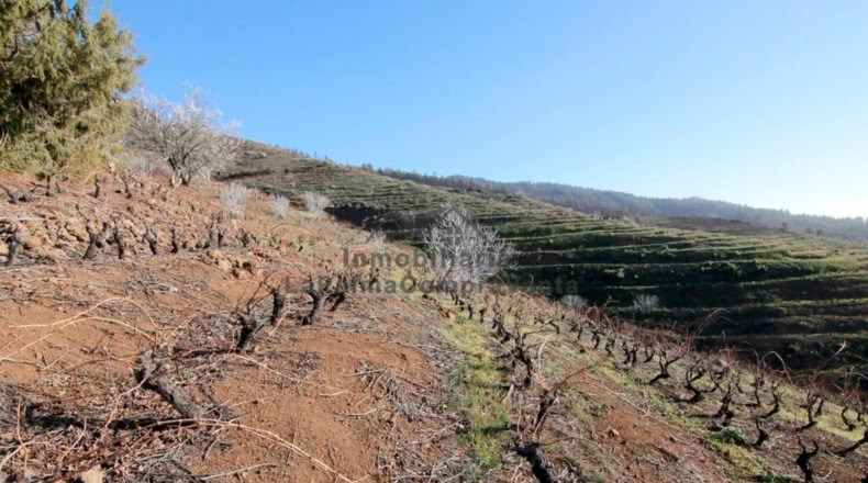 Santa Cruz de Tenerife - La Traviesa - 7506m2