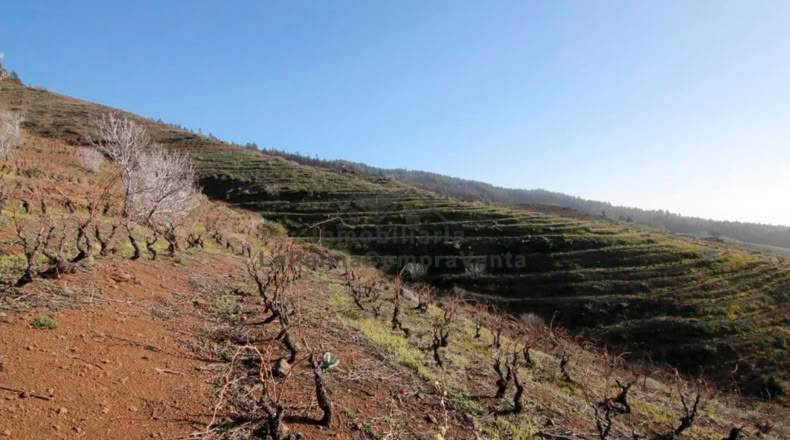 Santa Cruz de Tenerife - La Traviesa - 7506m2