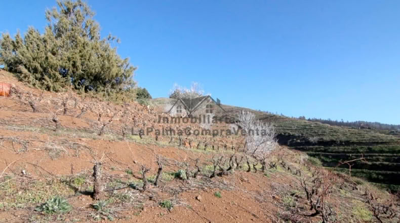 Santa Cruz de Tenerife - La Traviesa - 7506m2