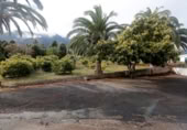 Chalet independiente con terreno en venta en la Vial Camino, Santa Cruz de La Palma, ref: TR104225 foto