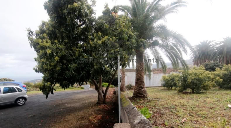 Santa Cruz de Tenerife - Mirca - 22872m2