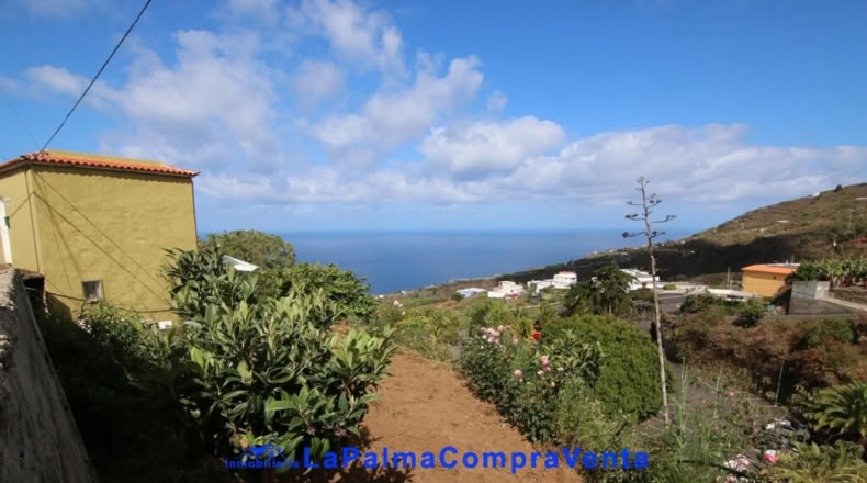 Santa Creu de Tenerife - Garachico - 1127m2