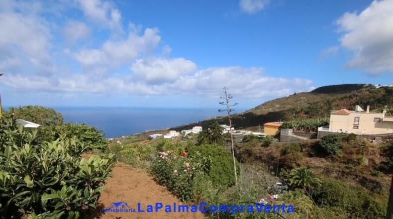 Santa Creu de Tenerife - Garachico - 1127m2