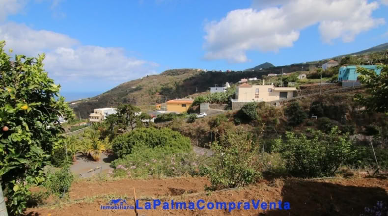 Santa Creu de Tenerife - Garachico - 1127m2