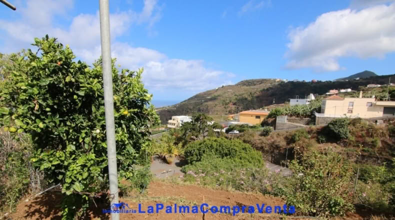 Santa Creu de Tenerife - Garachico - 1127m2