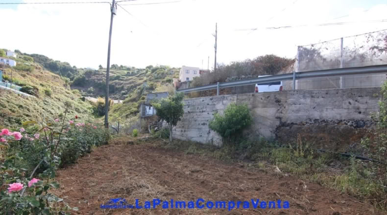 Santa Creu de Tenerife - Garachico - 1127m2