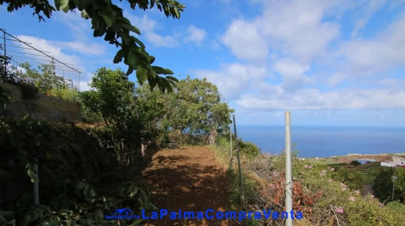 Santa Creu de Tenerife - Garachico - 1127m2
