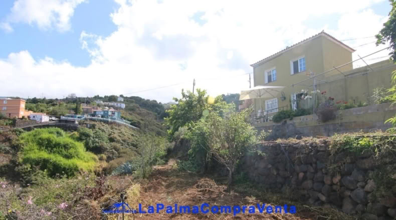 Santa Creu de Tenerife - Garachico - 1127m2