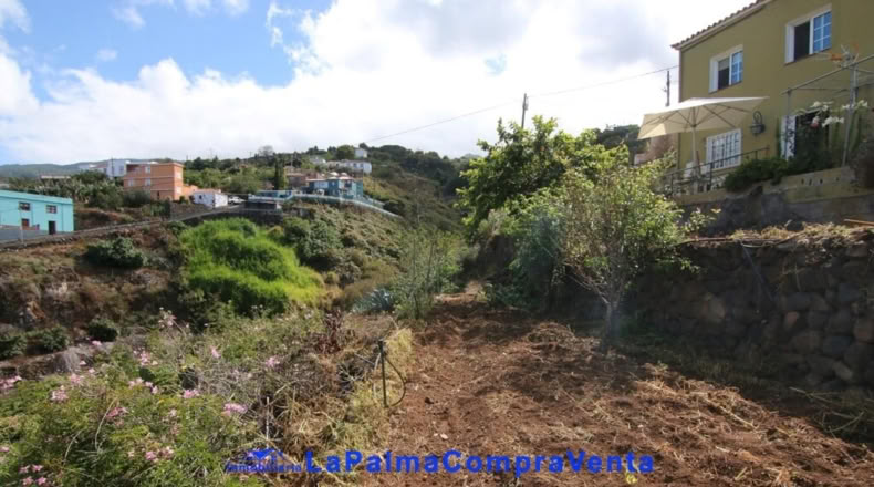 Santa Creu de Tenerife - Garachico - 1127m2
