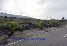 Los Llanos de Aridane 2906&nbsp;m² 