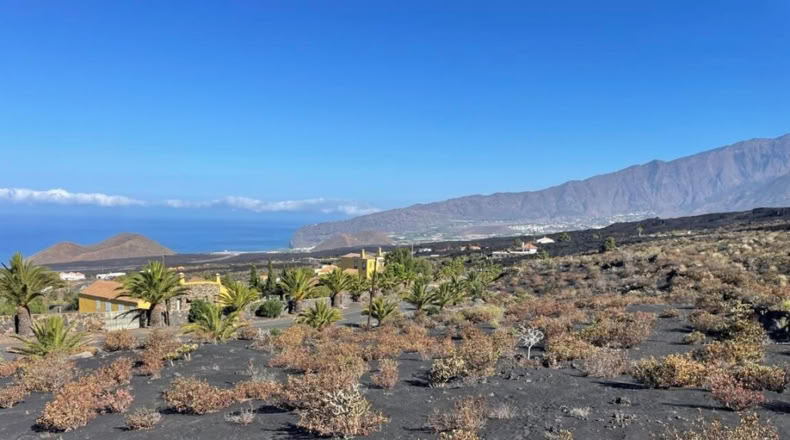 Santa Cruz de Tenerife - Argual Abajo - 2906m2