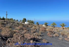 Los Llanos de Aridane 2906&nbsp;m² 