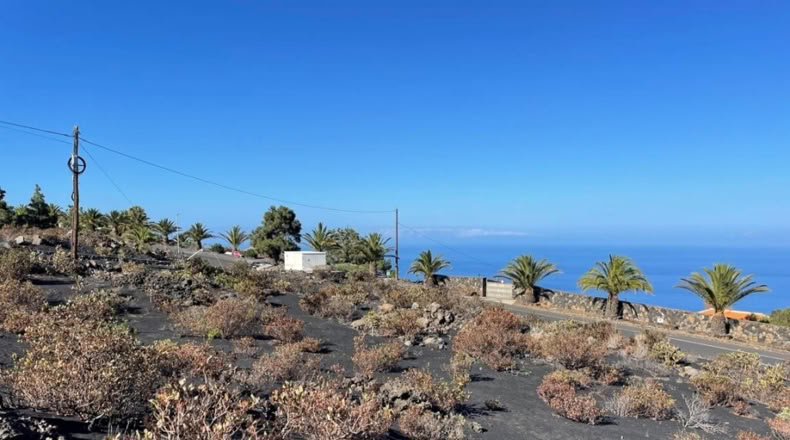 Santa Cruz de Tenerife - Argual Abajo - 2906m2