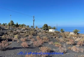 Los Llanos de Aridane 2906&nbsp;m² 