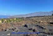 Terreno no urbanizable en venta en Los Llanos de Aridane ref: TR207714 foto