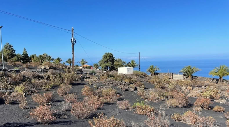 Santa Cruz de Tenerife - Argual Abajo - 2906m2