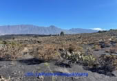 Terreno no urbanizable en venta en Los Llanos de Aridane ref: TR207714 foto