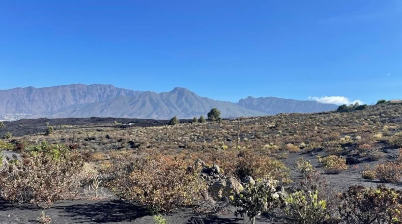 Santa Cruz de Tenerife - Argual Abajo - 2906m2