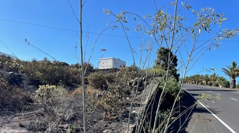 Santa Cruz de Tenerife - Argual Abajo - 2906m2