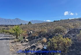 Los Llanos de Aridane 2906&nbsp;m² 