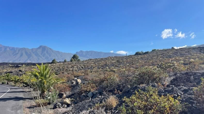 Santa Cruz de Tenerife - Argual Abajo - 2906m2