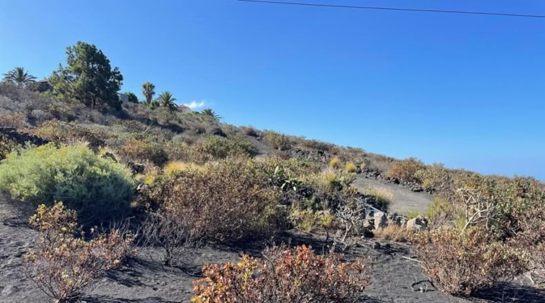 Santa Cruz de Tenerife - Los Llanos de Aridane - 584m2