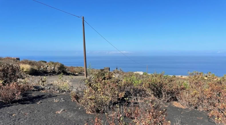 Santa Cruz de Tenerife - Los Llanos de Aridane - 584m2