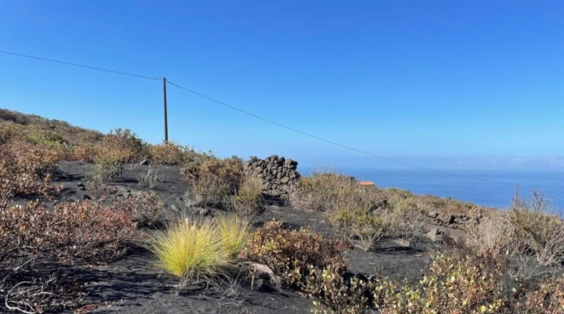 Santa Cruz de Tenerife - Los Llanos de Aridane - 584m2