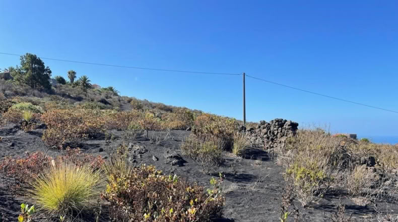 Santa Cruz de Tenerife - Los Llanos de Aridane - 584m2