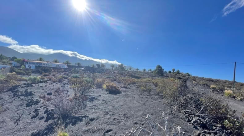 Santa Cruz de Tenerife - Los Llanos de Aridane - 584m2